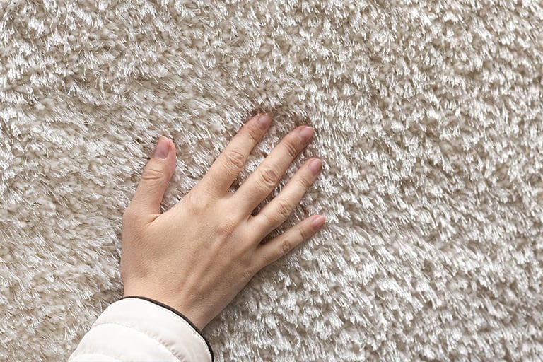 Commercial Carpet Maintenance