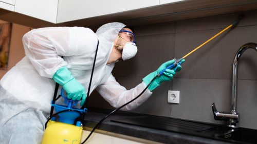 Commercial Kitchens