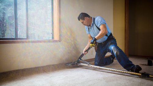 Carpet Care: When To Clean And When To Replace facility cleaning services